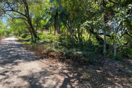 NEW LISTING!! PLAYA VENTANA – WORLD-CLASS ADDRESS – PRISTINE TITLED BEACHFRONT