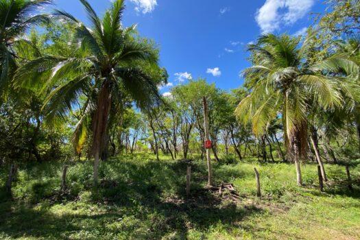 NEW LISTING!! PLAYA VENTANA – WORLD-CLASS ADDRESS – PRISTINE TITLED BEACHFRONT