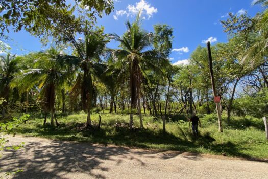 NEW LISTING!! PLAYA VENTANA – WORLD-CLASS ADDRESS – PRISTINE TITLED BEACHFRONT