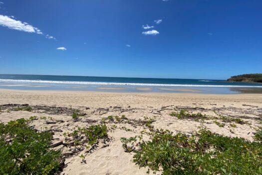 NEW LISTING!! PLAYA VENTANA – WORLD-CLASS ADDRESS – PRISTINE TITLED BEACHFRONT