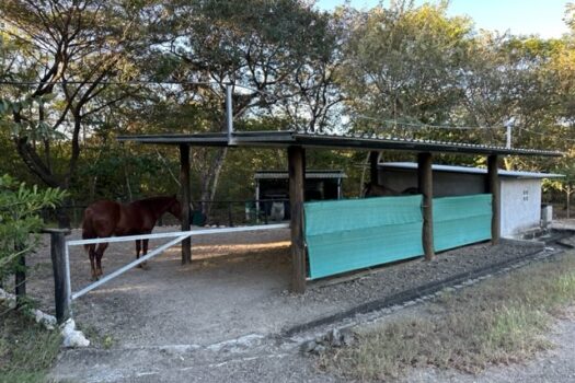 BLUE ZONE HOME – FANTASTIC COUNTRYSIDE PROPERTY – PRIVACY, NATURE, WILDLIFE AND MUCH MORE