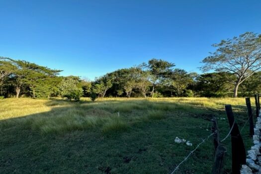 BLUE ZONE HOME – FANTASTIC COUNTRYSIDE PROPERTY – PRIVACY, NATURE, WILDLIFE AND MUCH MORE