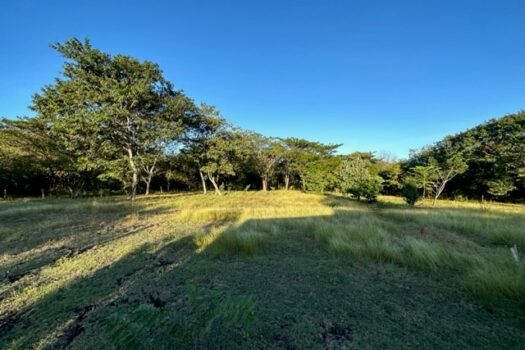 BLUE ZONE HOME – FANTASTIC COUNTRYSIDE PROPERTY – PRIVACY, NATURE, WILDLIFE AND MUCH MORE