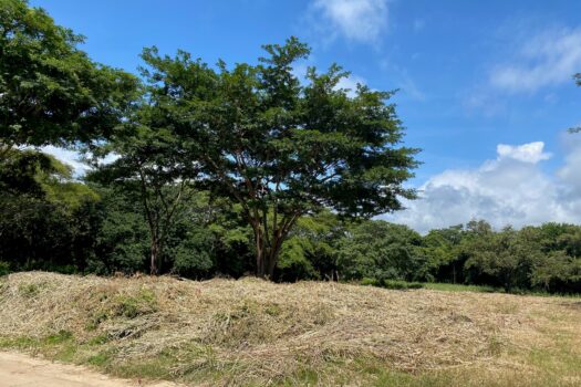 PLAYA LANGOSTA – PRIME LOCATION NEAR PRISTINE BEACH AND COSTA RICA’S #1 BEACH TOWN