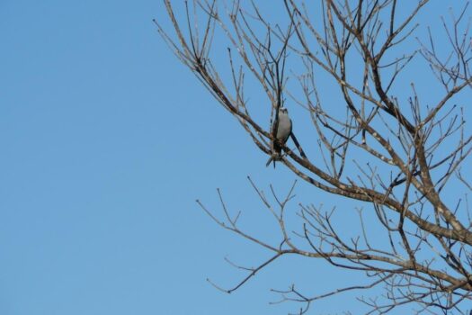 AMAZING WHITE WATER COASTAL BEACH, SURF VIEW GOLD COAST / BEST BUY COSTA RICA