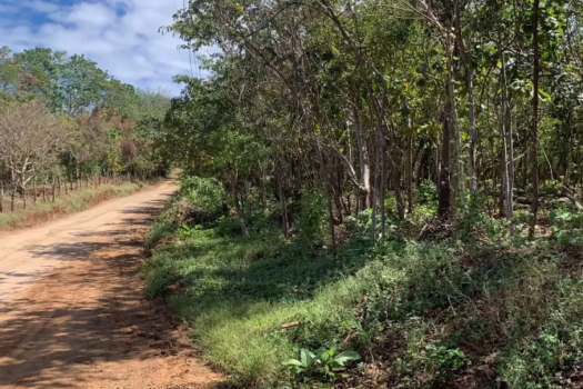 LAND OF 2500M2 FOR SALE: BUILD YOUR HOME IN THE PARADISE OF PLAYA AVELLANAS, GUANACASTE