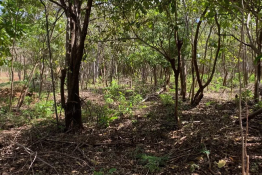 LAND OF 2500M2 FOR SALE: BUILD YOUR HOME IN THE PARADISE OF PLAYA AVELLANAS, GUANACASTE