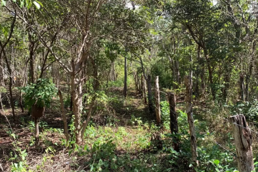 LAND OF 2500M2 FOR SALE: BUILD YOUR HOME IN THE PARADISE OF PLAYA AVELLANAS, GUANACASTE
