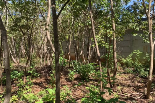 LAND OF 2500M2 FOR SALE: BUILD YOUR HOME IN THE PARADISE OF PLAYA AVELLANAS, GUANACASTE