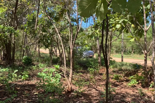 LAND OF 2500M2 FOR SALE: BUILD YOUR HOME IN THE PARADISE OF PLAYA AVELLANAS, GUANACASTE