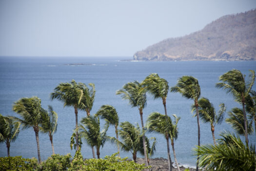 Matapalo Diria #504 Amazing Condo-Ocean View