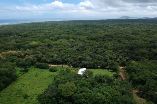AVELLANAS BEACH  HEART OF NATURE – FOUR HOMES AND TWO GUESTS HOUSES