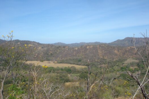 ICONIC GUANACASTE LAND – GREAT INVESTMENT OPPORTUNITY