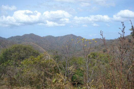 ICONIC GUANACASTE LAND – GREAT INVESTMENT OPPORTUNITY