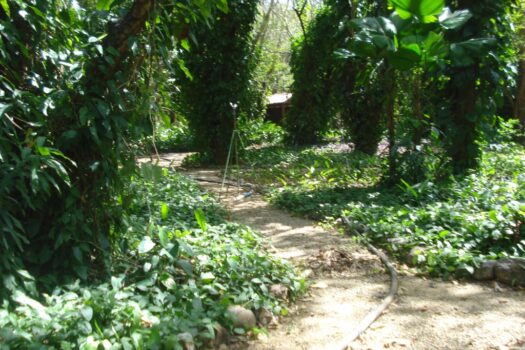 ICONIC GUANACASTE LAND – GREAT INVESTMENT OPPORTUNITY