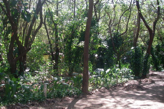 ICONIC GUANACASTE LAND – GREAT INVESTMENT OPPORTUNITY