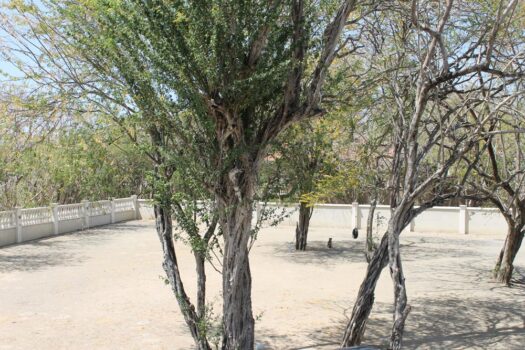 PARADISE PROPERTY – BEACHFRONT ESTATE OPPORTUNITY ON PRISTINE PLAYA VENTANA