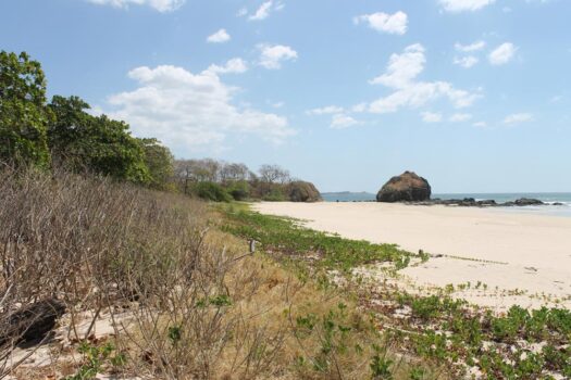 PARADISE PROPERTY – BEACHFRONT ESTATE OPPORTUNITY ON PRISTINE PLAYA VENTANA