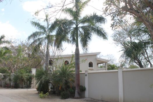 PARADISE PROPERTY – BEACHFRONT ESTATE OPPORTUNITY ON PRISTINE PLAYA VENTANA