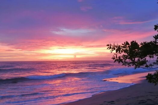 LAST LOT IN PLAYA LANGOSTA – INVEST IN PARADISE – CLOSE TO OCEAN – GREAT DEAL