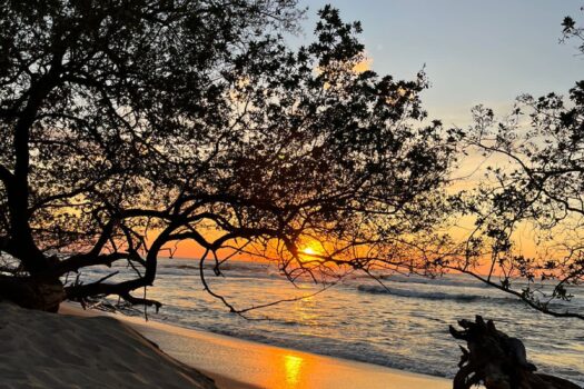 LAST LOT IN PLAYA LANGOSTA – INVEST IN PARADISE – CLOSE TO OCEAN – GREAT DEAL