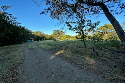 BLUE ZONE HOME – FANTASTIC COUNTRYSIDE PROPERTY – PRIVACY, NATURE, WILDLIFE AND MUCH MORE