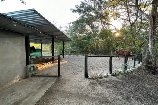 BLUE ZONE HOME – FANTASTIC COUNTRYSIDE PROPERTY – PRIVACY, NATURE, WILDLIFE AND MUCH MORE