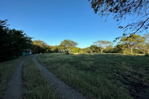 BLUE ZONE HOME – FANTASTIC COUNTRYSIDE PROPERTY – PRIVACY, NATURE, WILDLIFE AND MUCH MORE