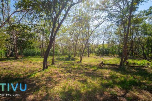 Natural Oasis 1.25 Acres Land ready to build walking distance to the beach