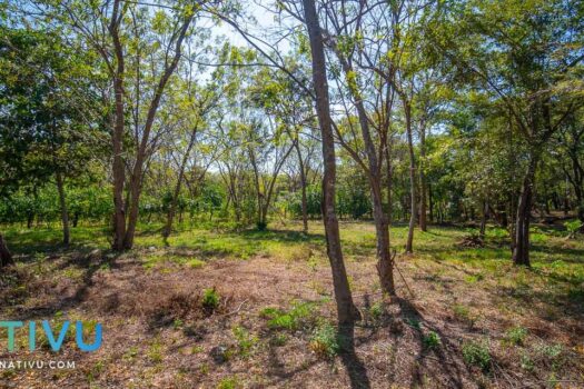 Natural Oasis 1.25 Acres Land ready to build walking distance to the beach