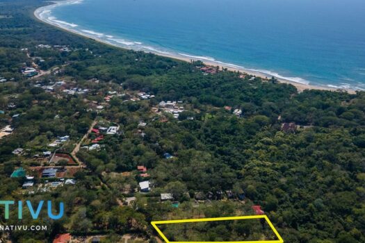 Natural Oasis 1.25 Acres Land ready to build walking distance to the beach