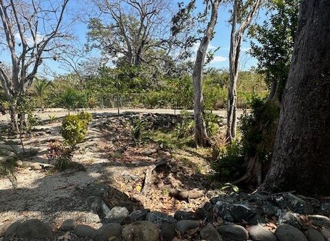 CASA BOSQUE ESCONDIDO IN PLAYA TAMARINDO