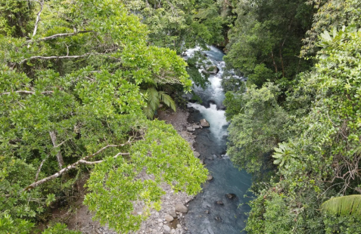 Beautiful Blue River Farm with Flat River Access