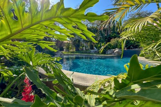 Serena Suites G1 -Ground Floor Condo 2 Bedrooms and 2 Bathrooms