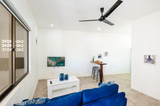 APARTAMENTOS- INVESTEMENT OPPORTUNITY IN PLAYA TAMARINDO