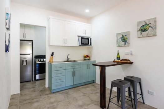 APARTAMENTOS- INVESTEMENT OPPORTUNITY IN PLAYA TAMARINDO