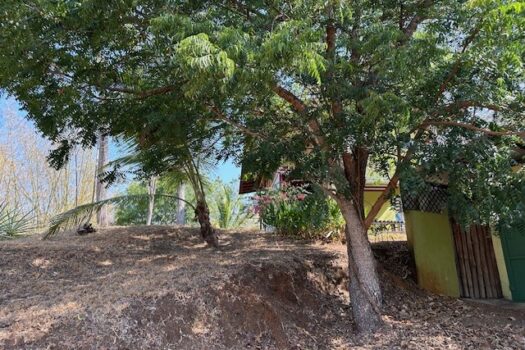 BLUE ZONE MARBELLA MAGIC – FORESTS – WILDLIFE – SURF – PRIVACY PLUS LOTS MORE!!