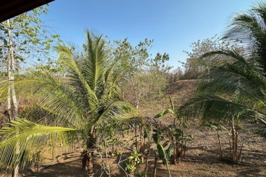 BLUE ZONE MARBELLA MAGIC – FORESTS – WILDLIFE – SURF – PRIVACY PLUS LOTS MORE!!