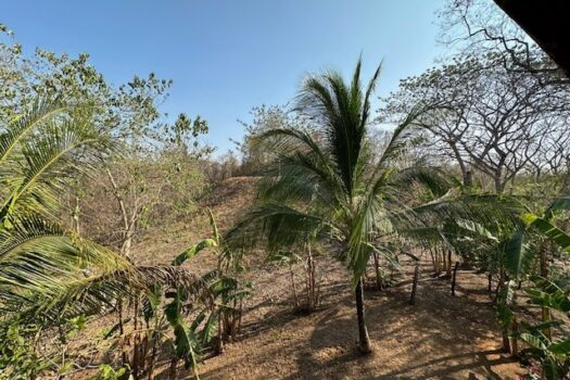 BLUE ZONE MARBELLA MAGIC – FORESTS – WILDLIFE – SURF – PRIVACY PLUS LOTS MORE!!