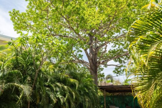 Beautiful home with a extra Guest house in Avellanas