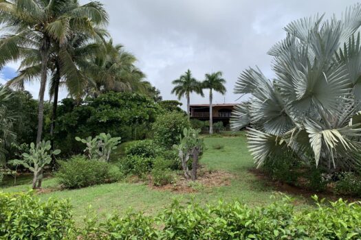 OCEAN VIEW HOME IN A PRIVATE DOMAIN – PLAYA NEGRA