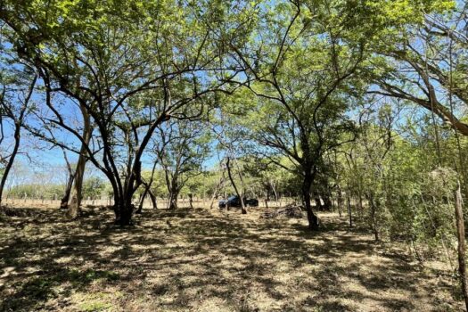 Amazing Lot a Few Steps from the Ocean 1196m2