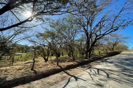 Amazing Lot a Few Steps from the Ocean 1196m2