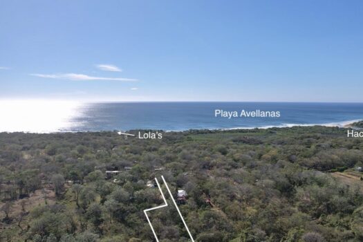 Stunning 7000 m2 Lot in the Heart of Avellanas