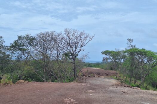 AMAZING OCEAN VIEW LOT IN TAMARINDO!!