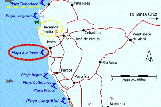 Stunning 7000 m2 Lot in the Heart of Avellanas