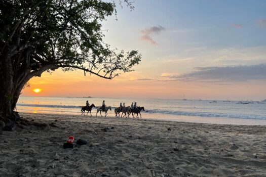 AMAZING OCEAN VIEW LOT IN TAMARINDO!!