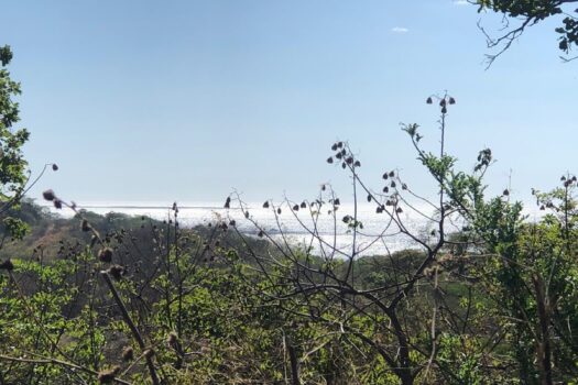 Stunning Coastal Views + 13.4 Forested Acres on the Gold Coast of Guanacaste