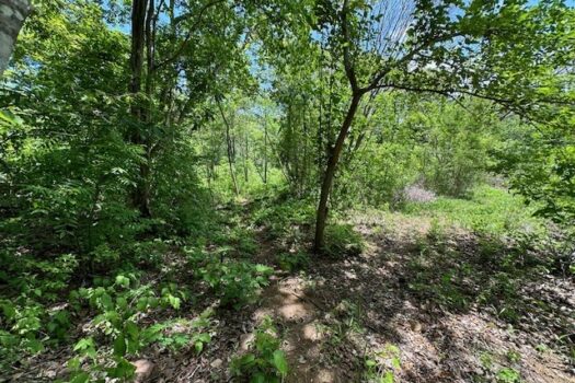 Stunning Coastal Views + 13.4 Forested Acres on the Gold Coast of Guanacaste