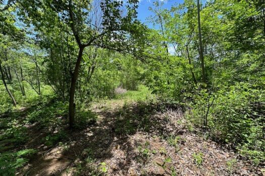 Stunning Coastal Views + 13.4 Forested Acres on the Gold Coast of Guanacaste